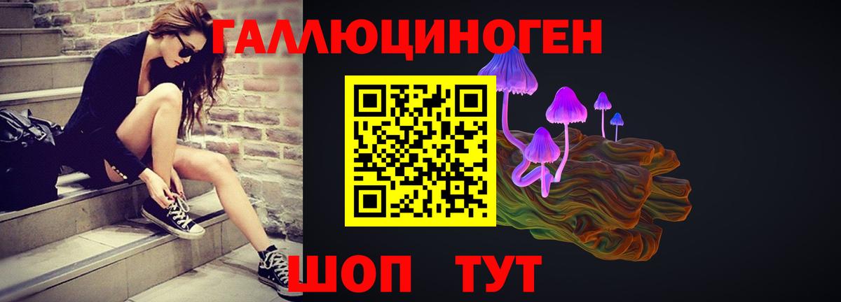 Ессентуки  Псилоцибиновые грибы прущие грибы  Вход с VPN 